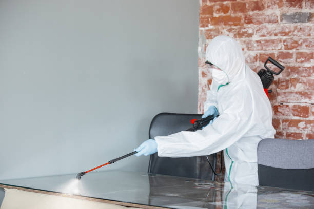 Best Dehumidification Services  in Mount Vernon, GA