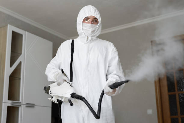 Why You Should Choose Our Mold Remediation Services in Mount Vernon, GA